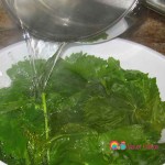 Pour salted boiling water over the arranged leaves in the bowl.